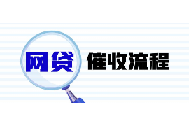 老河口老河口的要账公司在催收过程中的策略和技巧有哪些？